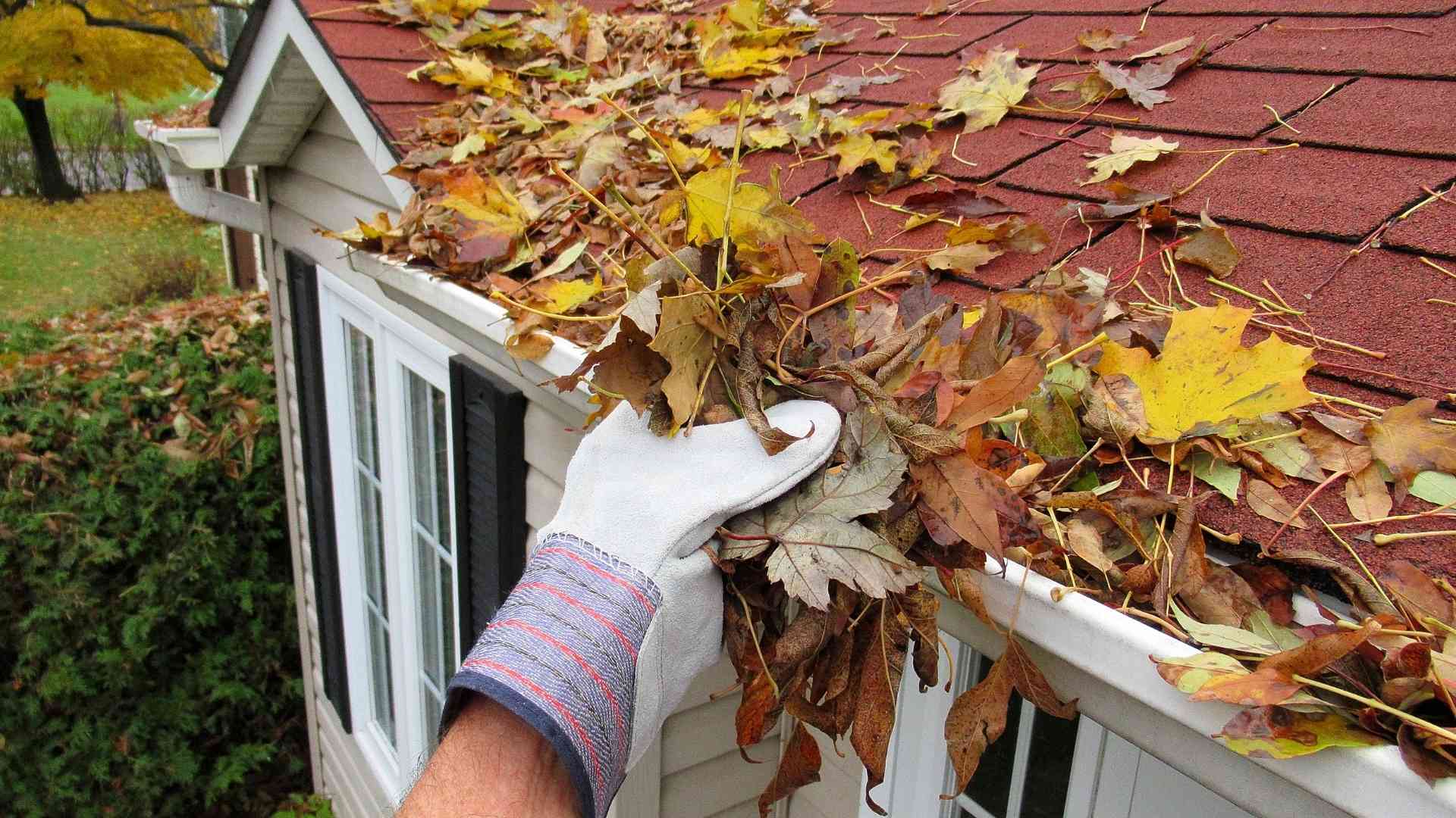 Gutter Cleaning & Maintenance 